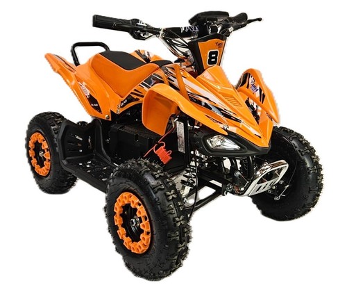 1000w electric quad bike 800w - 1000w,