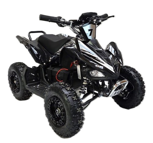 1000w electric quad bike - electric,